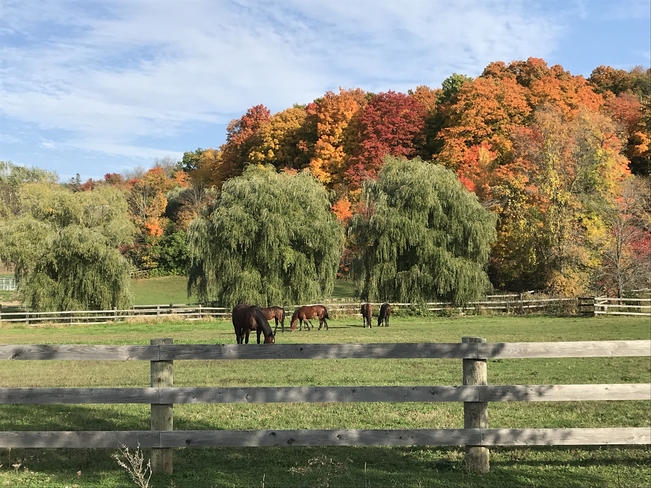 L’automne au ranch Saint-André-d'Argenteuil, Québec, CA