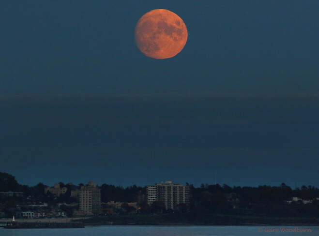2021-10-18 - Almost full moon rising over the City of Victoria (BC) Victoria, BC