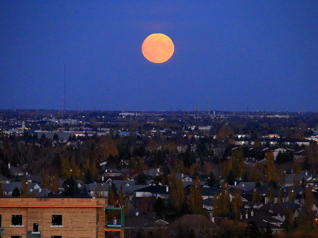 Hunter moon Edmonton, AB
