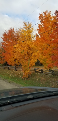 fall colors Saint-Ignace, NB