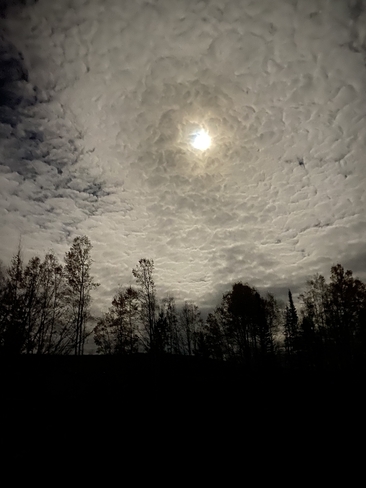 Beautiful Hunter Moon Quesnel, British Columbia, CA