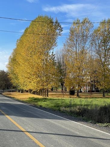 L’automne dans la bayonne nord Sainte-Geneviève-de-Berthier, Québec, CA