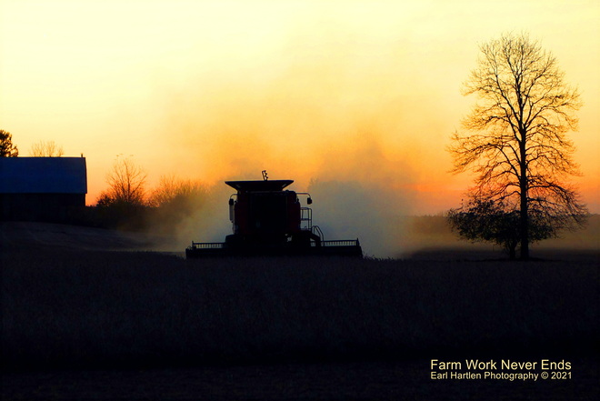 Farm Work Never Ends Norfolk County, Ontario