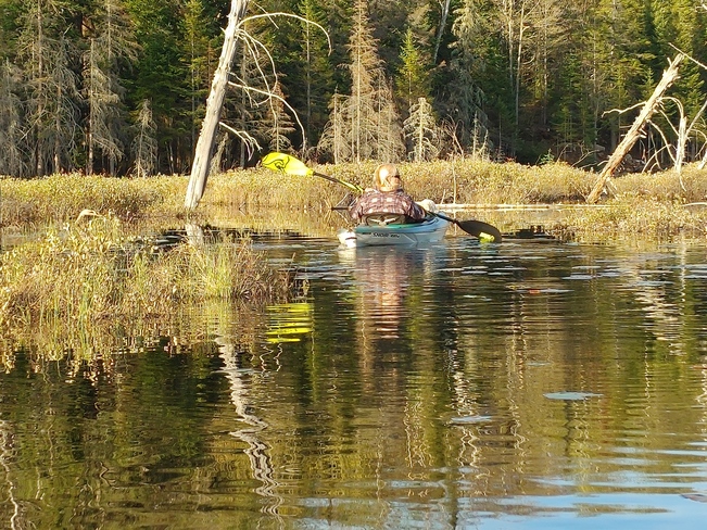 lac Fidèle Entrelacs, QC