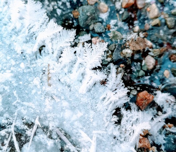 Snow crystals Sturgeon Falls, ON