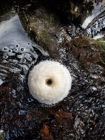 foamy donut Upper Stewiacke, NS