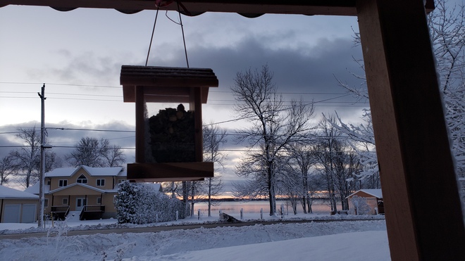 bird feeder by the lake Georgina Island, ON