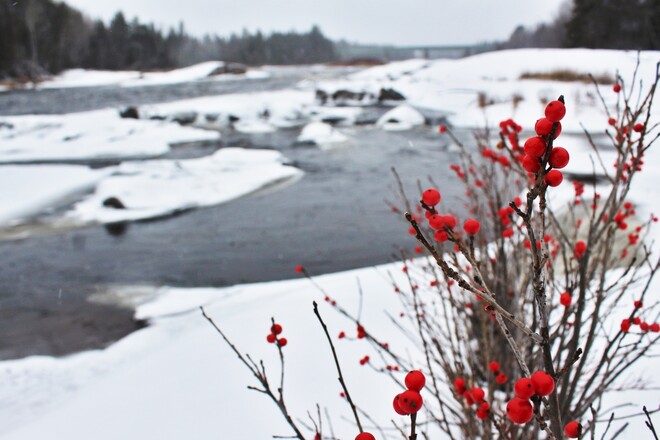 Nepisiguit River Bathurst, New Brunswick