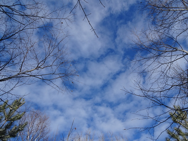 Blue White Sky Sudbury, ON
