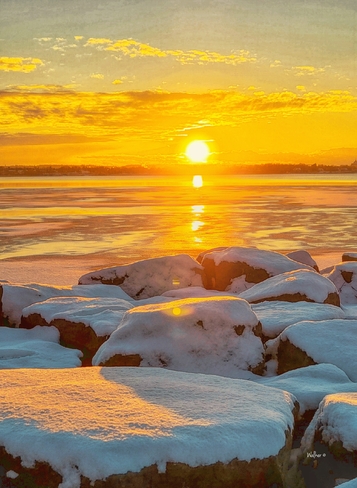 Winter Sun Ottawa, ON