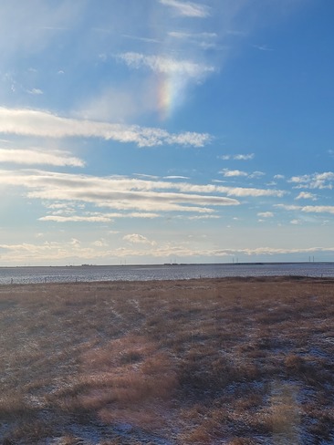 what is that rainbow like thing ? Delacour, AB