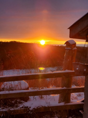Snowy sunrise West Montrose, ON