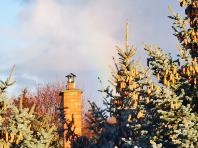 Rainbow, Chimney, Trees Cambridge, ON