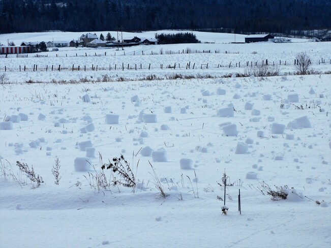 Un vent fort qui s'amuse avec une neige collante Lorrainville, Témiscamingue, QC
