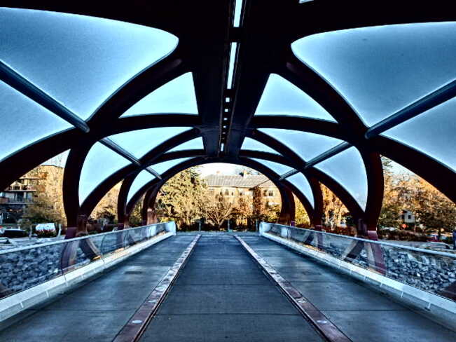 Peace Bridge YYC Calgary