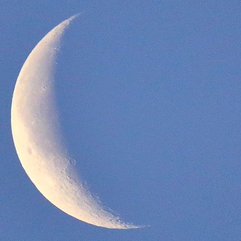 Crescent moon Edmonton, AB