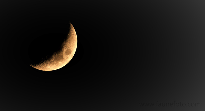 Croissant de lune a Gatineau Gatineau, QC