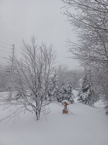 January Noreaster Westville, NS