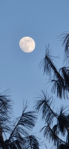 The moon on a cold winter day in Ottawa, - 21C, windchill - 30C.. Ottawa, ON