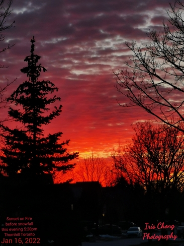 Jan 16 2022 -4C 5:20pm Sunset on Fire before snowfall this evening in Thornhill Thornhill, ON