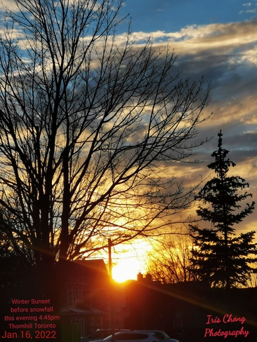 Jan 16 2022 -4C 4:45pm Picturesque Sunset before snowfall this evening Thornhill Thornhill, ON