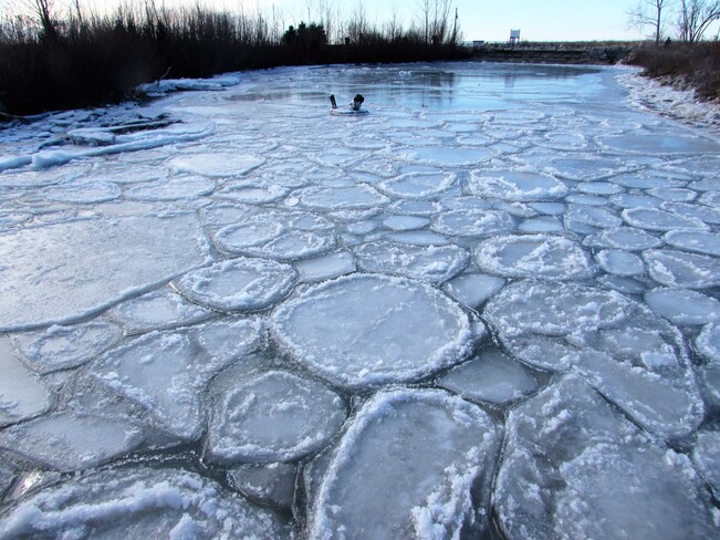 Ice Patterns Port Stanley, ON