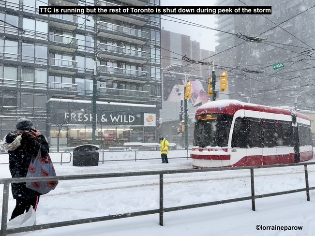 Toronto has been silenced during snow storm. #sillyhatweatherforecast Toronto, ON