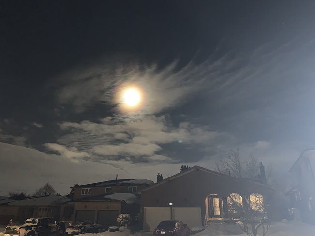 Wolf Moon after the Big Snow ! Hamilton, Ontario, CA
