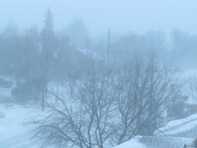 8:55 a.m. Prairie Blizzard began this morning, now at -20, feeling like -35 Weyburn, Saskatchewan