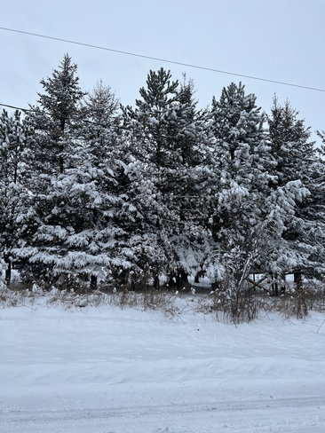 After snow Bradford West Gwillimbury, Ontario, CA