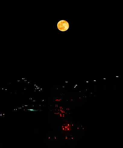 Wolf Moon Ottawa Queensway tonight. K1C6V9