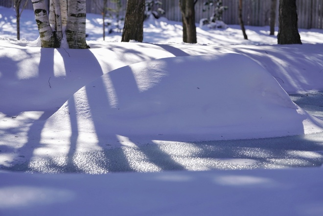 sunlight/shadow/snow Mississauga, ON