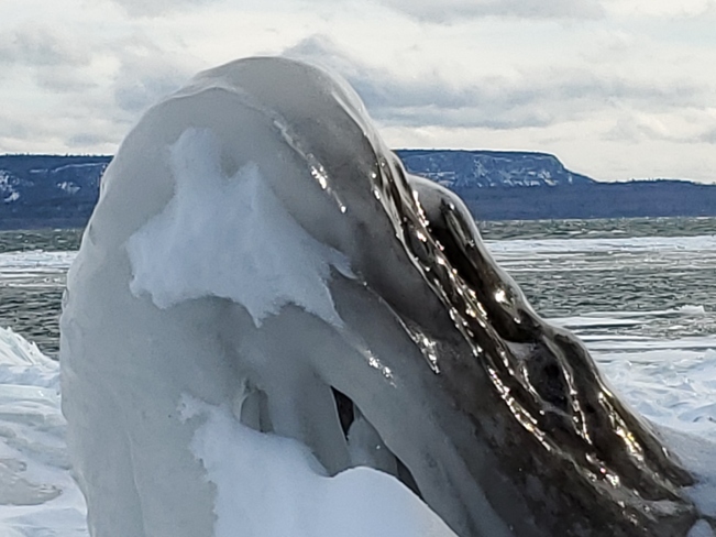 Humpback whale ? Thunder Bay, ON