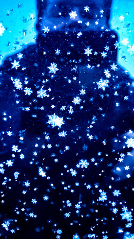 Snowflakes on the windshield Waterloo, ON