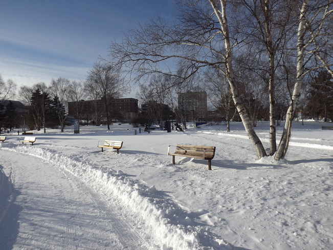 BENCHES WAITING for some warm BOTTOMS Marina Park, Unnamed Road, Thunder Bay, ON P7B, Canada