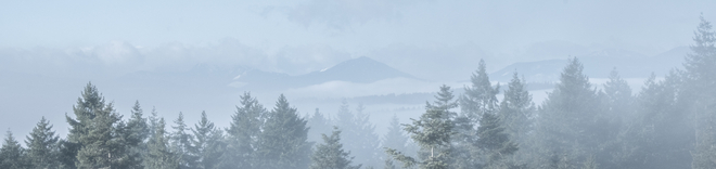 January Fog (Decourcy and Vancouver Island) Gabriola, British Columbia | V0R 1X7