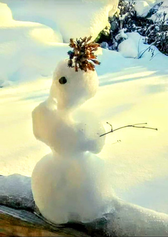 mini snowman North Bay, ON