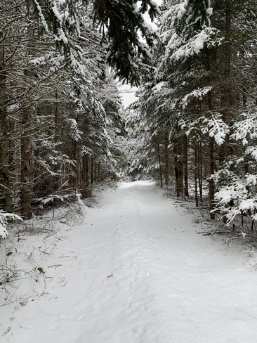 Winter wonderland Heatherton, Nova Scotia, CA