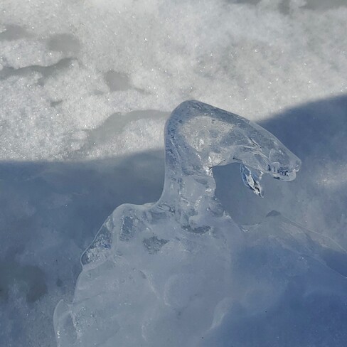 ICE SNAKE Grand Point, Thunder Bay District, ON