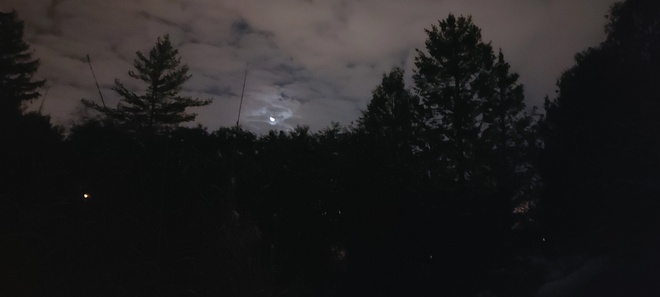 Nighttime Silhouettes Etobicoke, ON