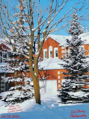 Jan 25 2022 -10C Picturesque -Second day of fresh snow. Sunny morning -Thornhill Thornhill, ON