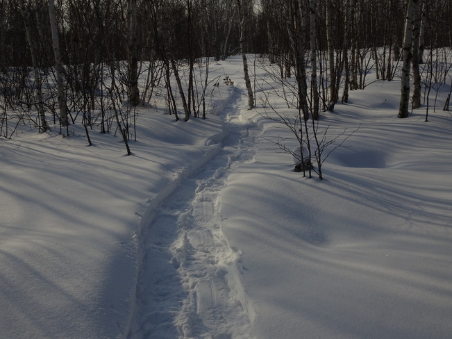 A Day Snowshoeing Sudbury, ON