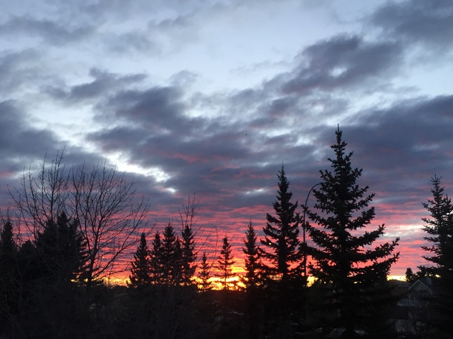 Sunrise, Calgary Jan. 26, 2022 Calgary, AB