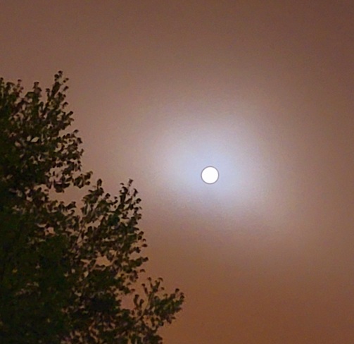 Pleine lune et brouillard Sherbrooke, QC