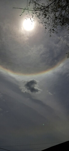 rainbow ring around the sun Georgetown, ON