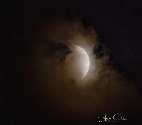 Lunar eclipse Cayuga, ON