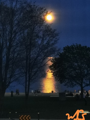 Blood Moon arising Burlington, ON