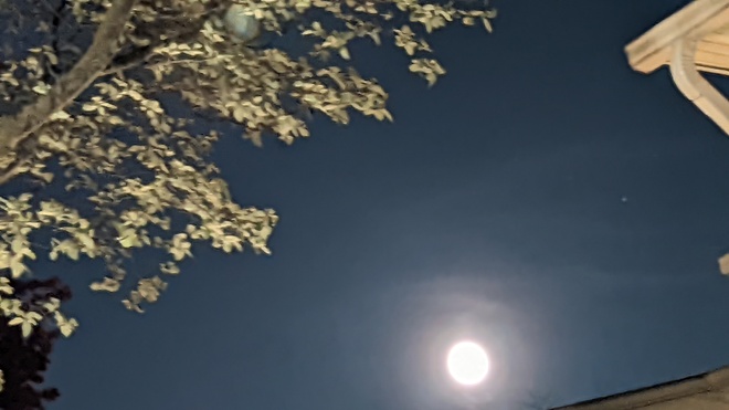 Full Moon in May Burlington, ON
