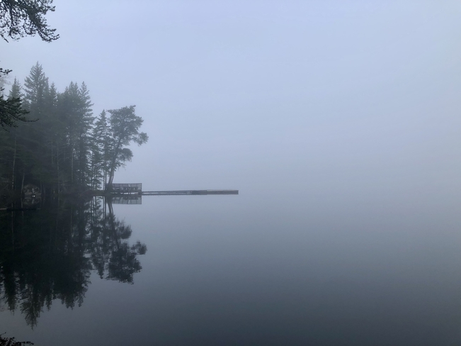 River Fog Kenora, Ontario, CA