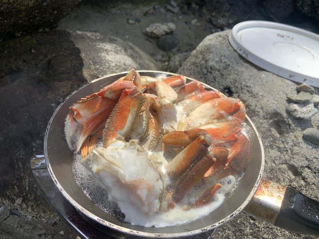 Canoe Crabbing All Day and Eating Freshest Crab on the Beach Belcarra Regional Park, Belcarra, BC